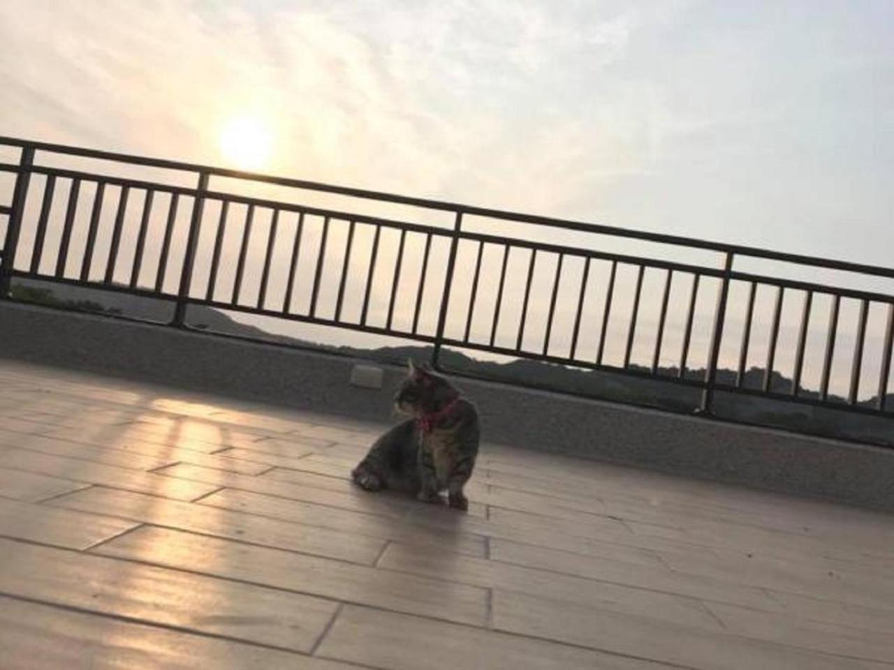 Sunny Sky Homestay 위징 구 외부 사진